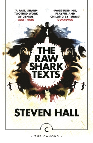 Cover image for 9781838851804 - The Raw Shark Texts