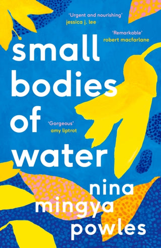 Cover image for 9781838852184 - Small Bodies of Water