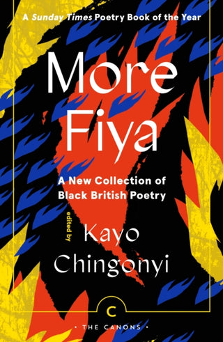 Cover image for 9781838855321 - More Fiya