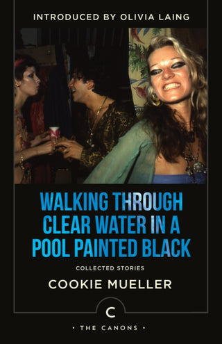 Cover image for 9781838858483 - Walking Through Clear Water In a Pool Painted Black