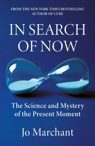 Cover image for 9781838858735 - In Search of Now