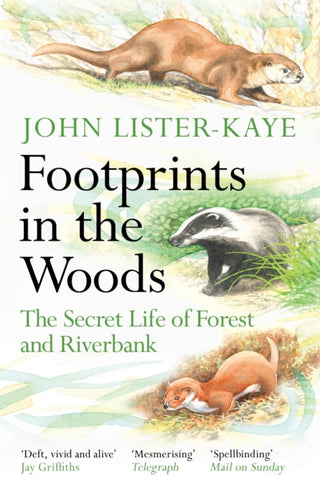 Cover image for 9781838858803 - Footprints in the Woods