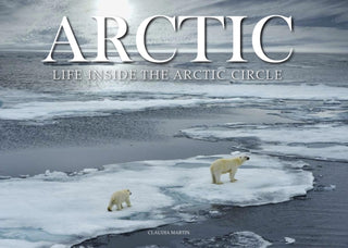 Cover image for 9781838860479 - Arctic