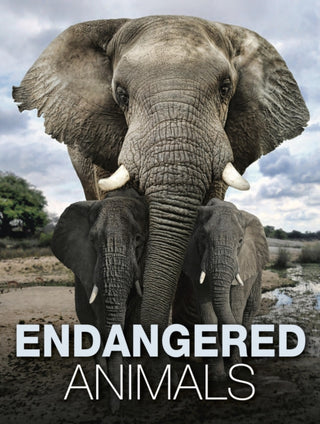Cover image for 9781838861612 - Endangered Animals