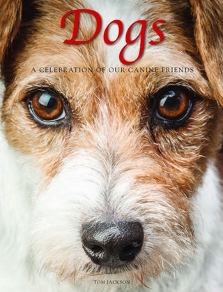 Cover image for 9781838861636 - Dogs