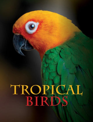 Cover image for 9781838861964 - Tropical Birds