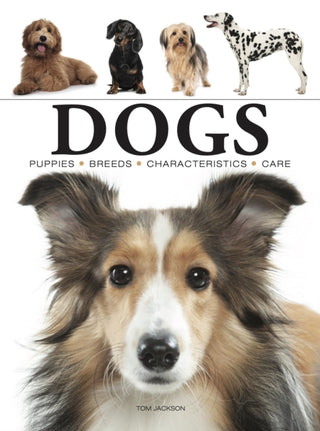 Cover image for 9781838862589 - Dogs