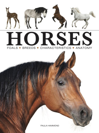 Cover image for 9781838862596 - Horses