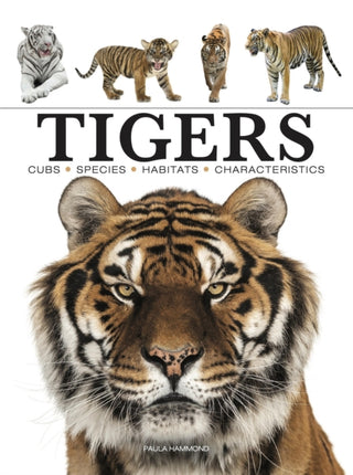 Cover image for 9781838862602 - Tigers