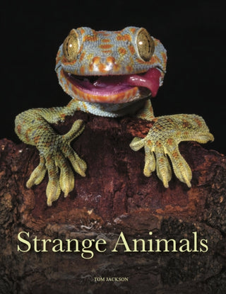 Supplemental image for 9781838862824 - Strange Animals