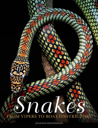 Cover image for 9781838862848 - Snakes