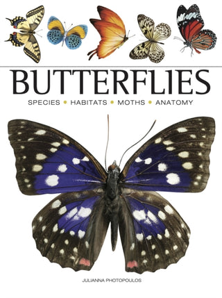 Cover image for 9781838863210 - Butterflies