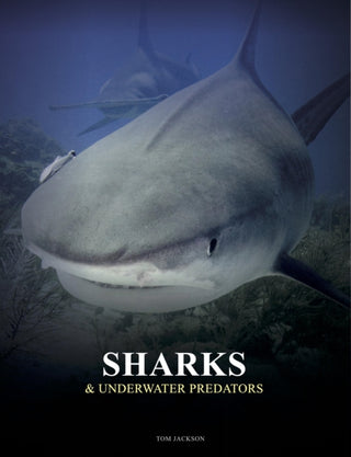 Cover image for 9781838863449 - Sharks and Underwater Predators