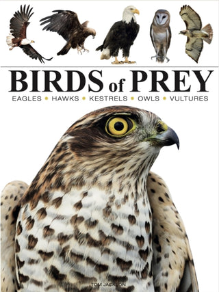 Cover image for 9781838863555 - Birds of Prey