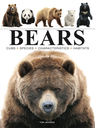 Cover image for 9781838863586 - Bears