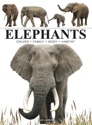 Cover image for 9781838863593 - Elephants