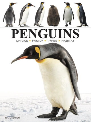 Cover image for 9781838863609 - Penguins