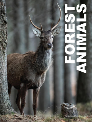 Supplemental image for 9781838863654 - Forest Animals