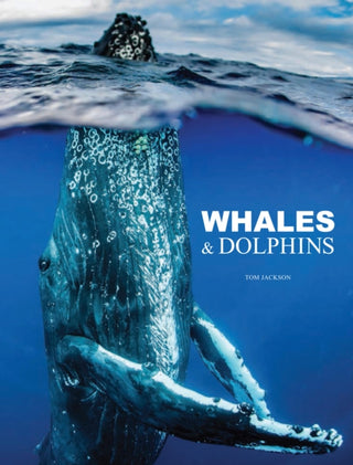 Cover image for 9781838864248 - Whales & Dolphins