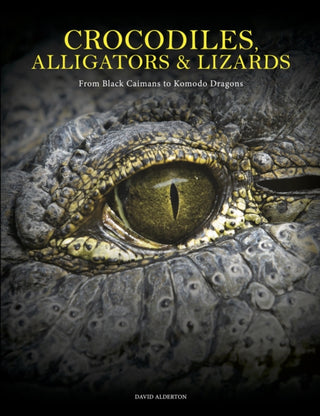 Cover image for 9781838864286 - Crocodiles, Alligators & Lizards