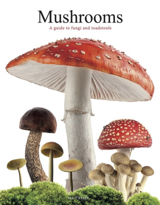 Cover image for 9781838864392 - Mushrooms