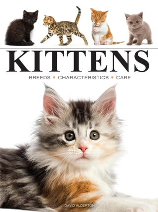 Cover image for 9781838864415 - Kittens