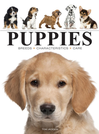 Cover image for 9781838864422 - Puppies