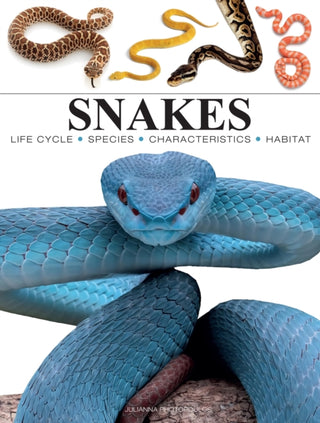 Supplemental image for 9781838864446 - Snakes