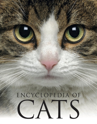 Supplemental image for 9781838864453 - Encyclopedia of Cats