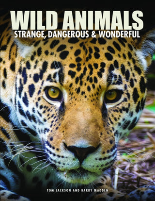 Cover image for 9781838865313 - Wild Animals