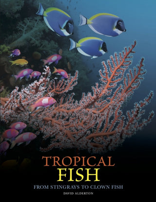 Cover image for 9781838865511 - Tropical Fish