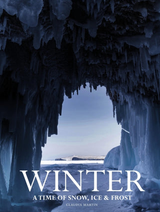 Cover image for 9781838865528 - Winter