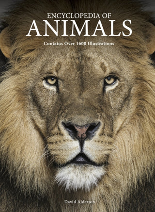 Cover image for 9781838865610 - Encyclopedia of Animals
