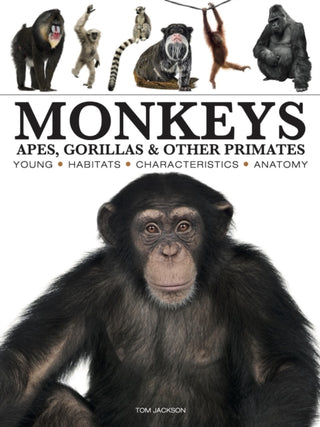 Cover image for 9781838866044 - Monkeys