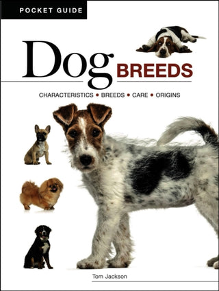 Cover image for 9781838866075 - Dog Breeds