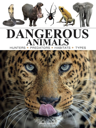 Cover image for 9781838866778 - Dangerous Animals