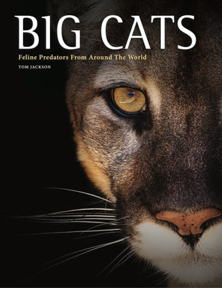 Cover image for 9781838867164 - Big Cats