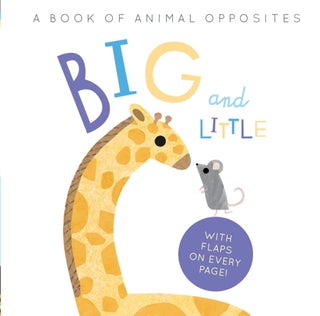 Cover image for 9781838913205 - Big and Little