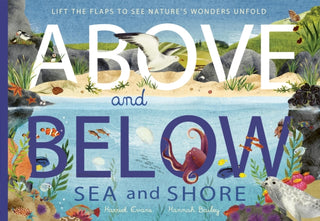 Cover image for 9781838915056 - Above and Below: Sea and Shore