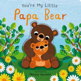 Cover image for 9781838919498 - You're My Little Papa Bear