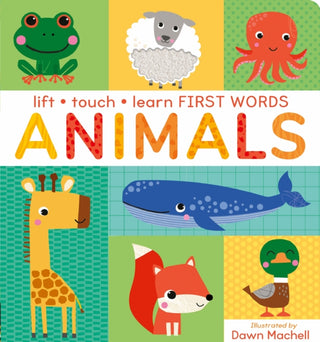 Cover image for 9781838919818 - Lift, Touch Learn First Words: Animals