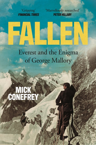 Cover image for 9781838959814 - Fallen