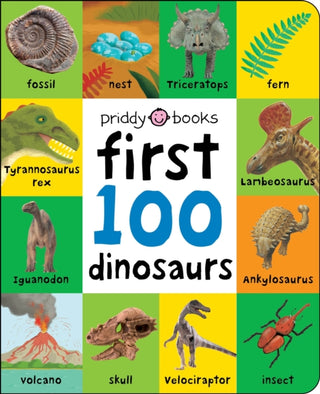 Cover image for 9781838991128 - First 100 Dinosaurs