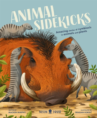 Cover image for 9781838991531 - Animal Sidekicks