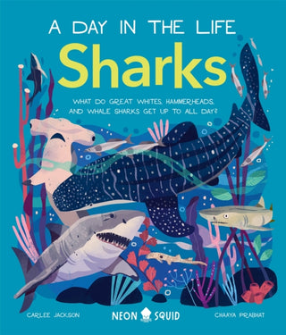 Cover image for 9781838992064 - Sharks (A Day in the Life)