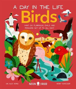 Cover image for 9781838992705 - Birds (A Day in the Life)