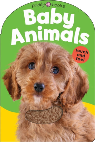 Cover image for 9781838992941 - Baby Animals
