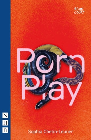 Cover image for 9781839044762 - Porn Play