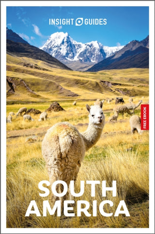 Cover image for 9781839054341 - Insight Guides South America: Travel Guide with eBook
