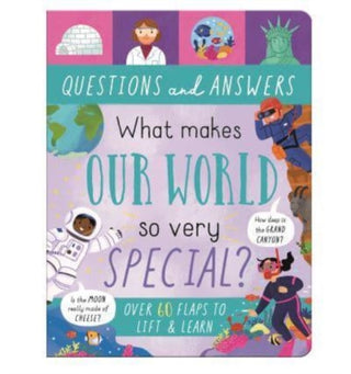 Cover image for 9781839234620 - What Makes Our World So Very Special?